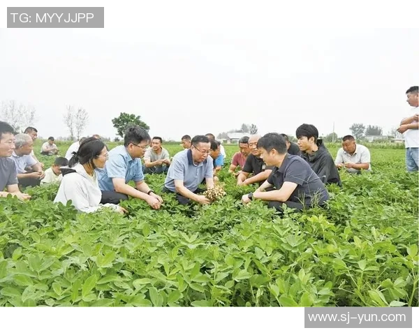 沈寨县足球比赛精彩直播视频回顾与精彩瞬间分享