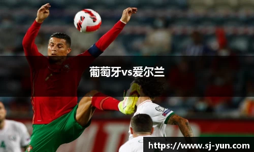 葡萄牙vs爱尔兰