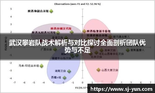 武汉攀岩队战术解析与对比探讨全面剖析团队优势与不足