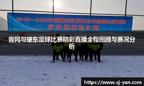 青冈与肇东足球比赛精彩直播全程回顾与赛况分析