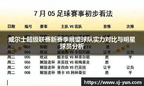威尔士超级联赛新赛季展望球队实力对比与明星球员分析