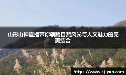 山形山神直播带你领略自然风光与人文魅力的完美结合